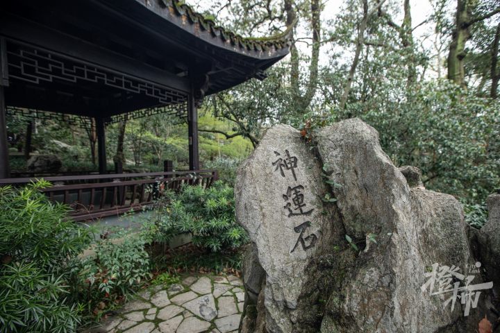 龙井泉边,是八景之一的"神运石.