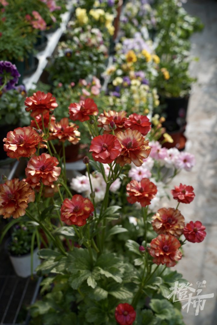 DSC09321.jpg