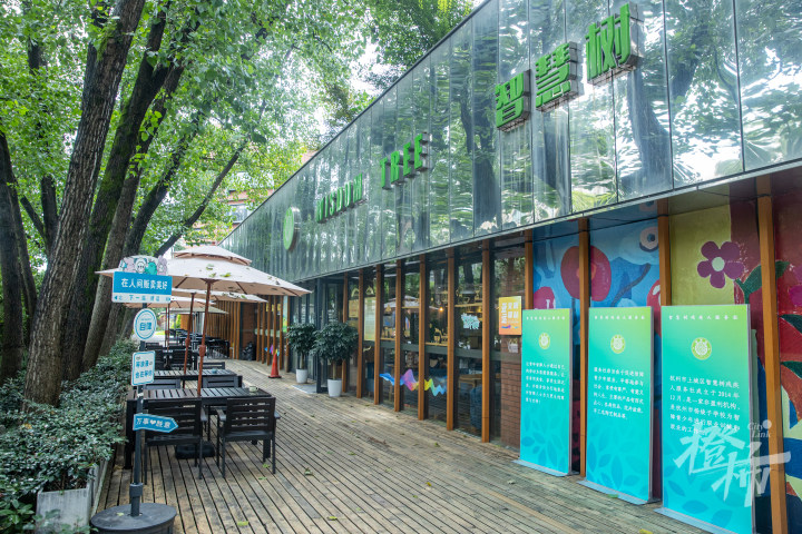 240717czq02 智慧树咖啡馆。 记者 陈中秋 摄.jpg