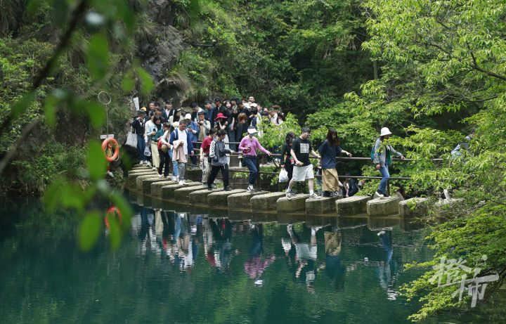 大奇山 (1).jpg