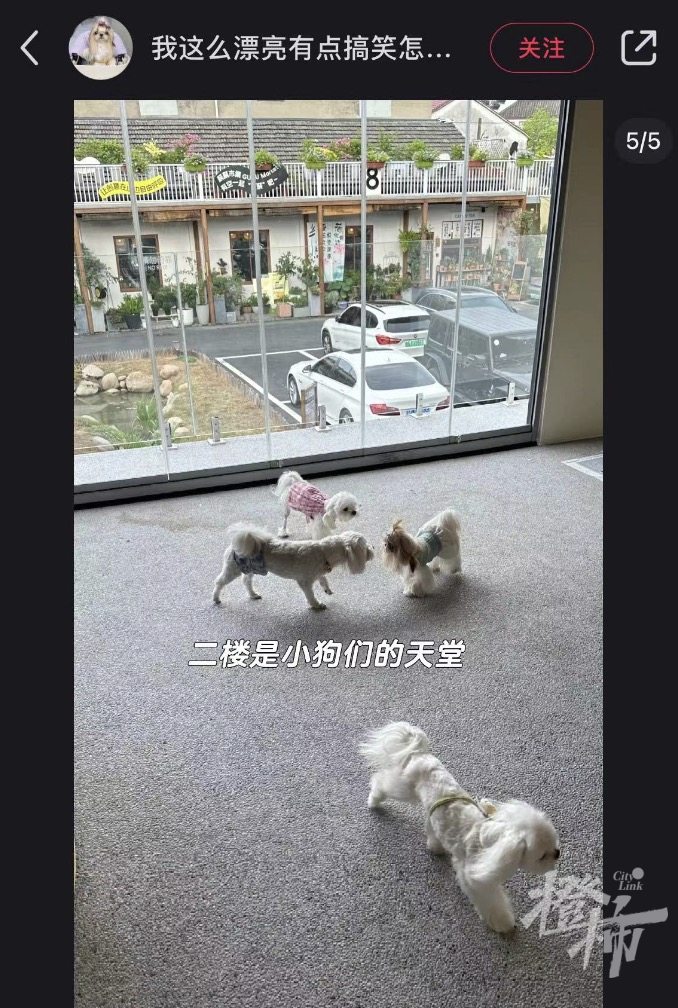 1724601325151.jpg