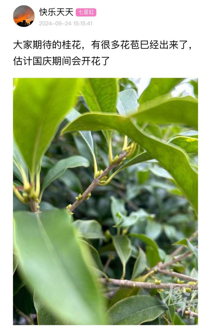 微信图片_20240924154131.jpg