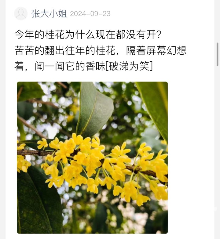 微信图片_20240924154126.jpg