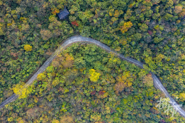 陆羽古道.JPG
