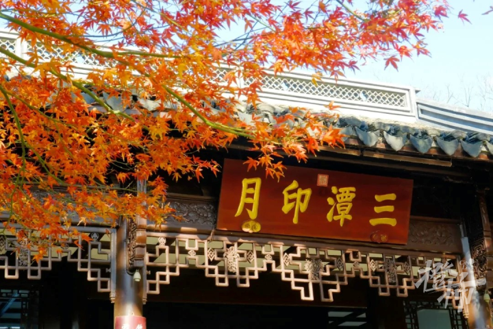 微信图片_20240910140042.png
