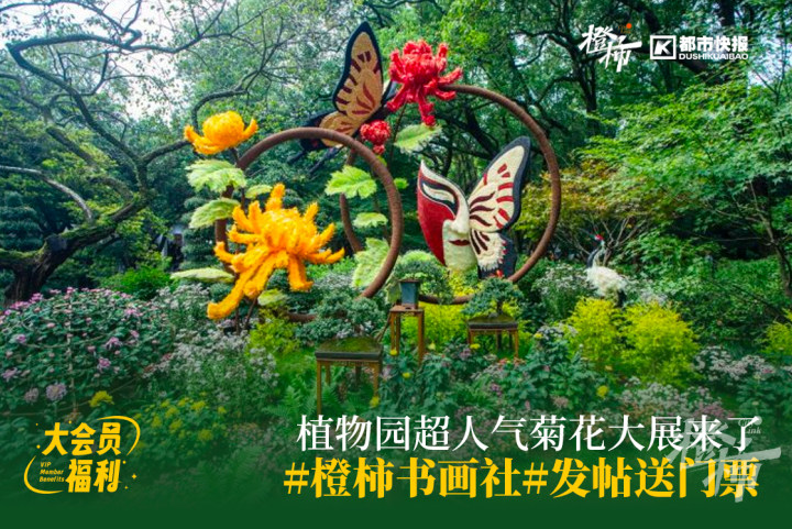 d3aaebadea94433fcfb733ca6d15462.jpg