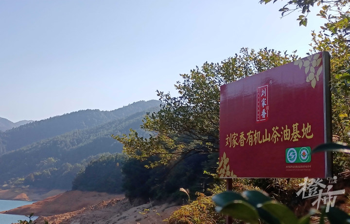 有机山茶油基地.jpg