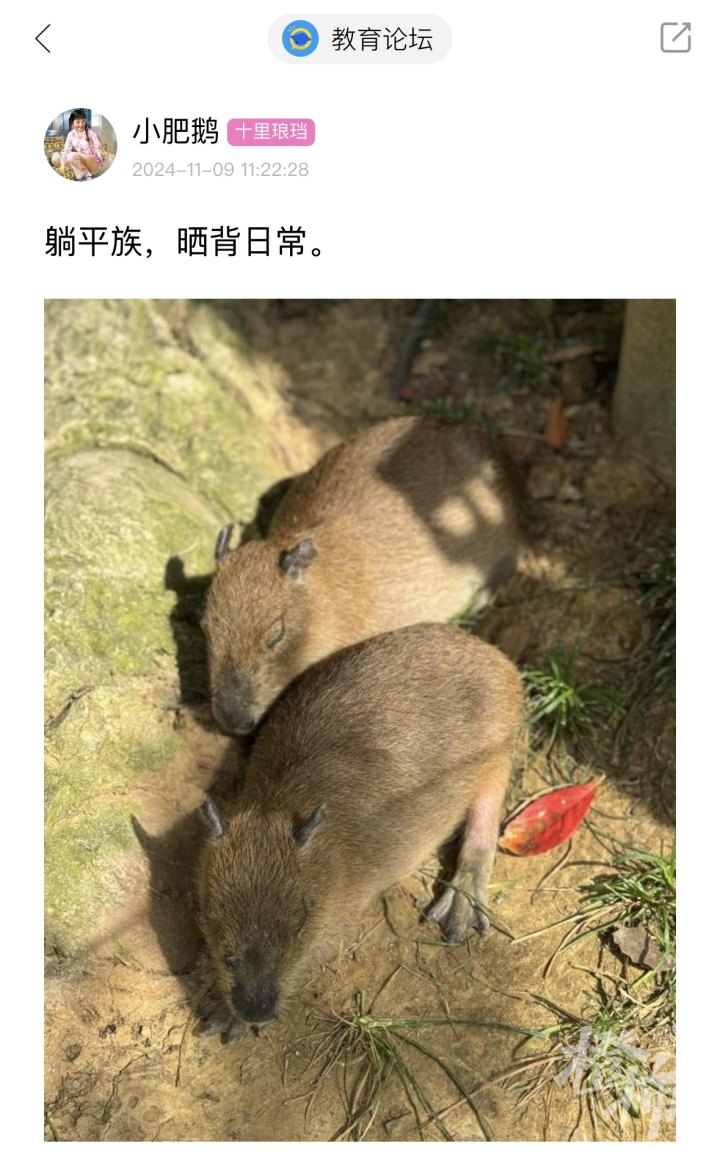 微信图片_20241118112747.jpg