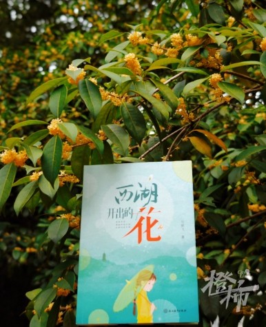 微信截图_20241118134901.png