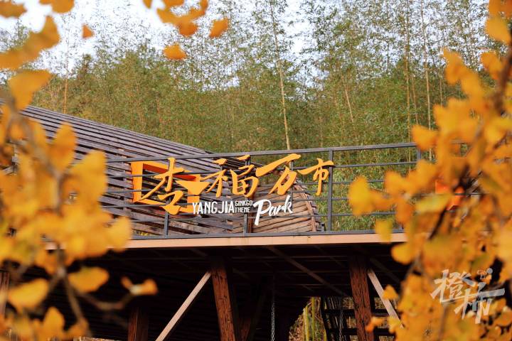 微信图片_20241128150139.jpg