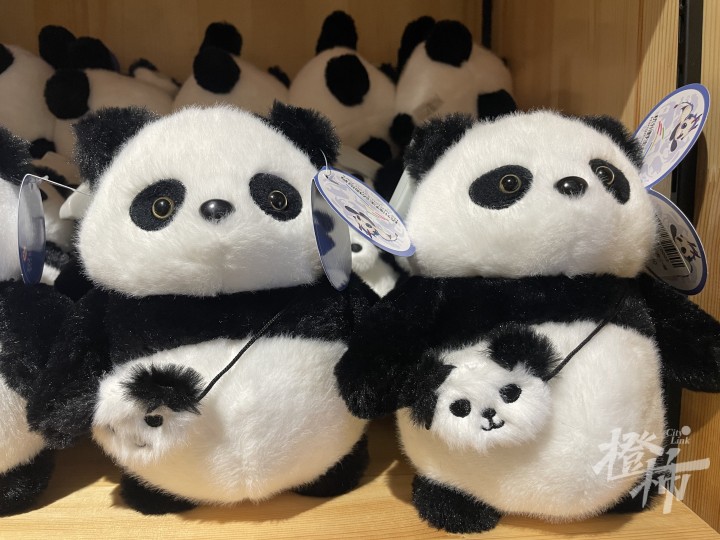 微信图片_20241104113824.jpg