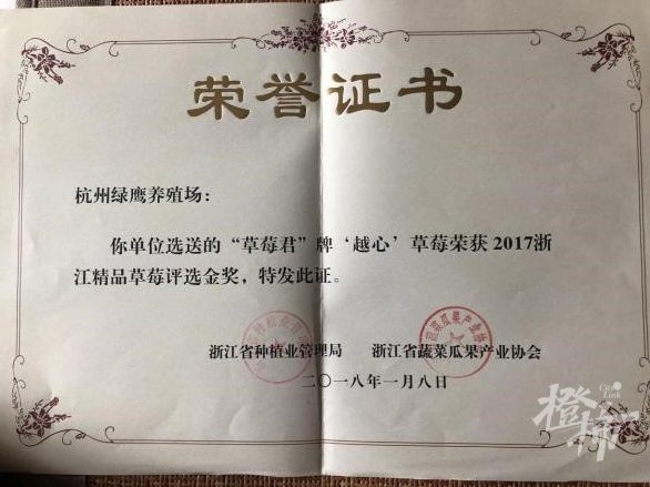 2018年金奖.jpg