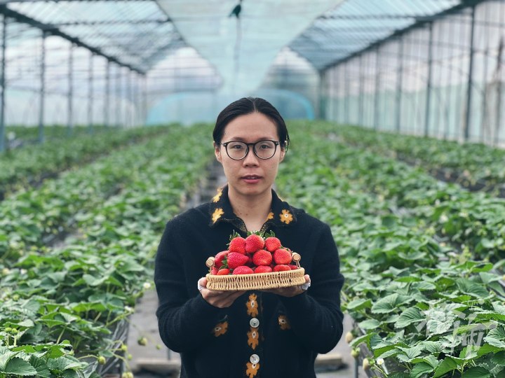 斯爽爽和草莓.jpg