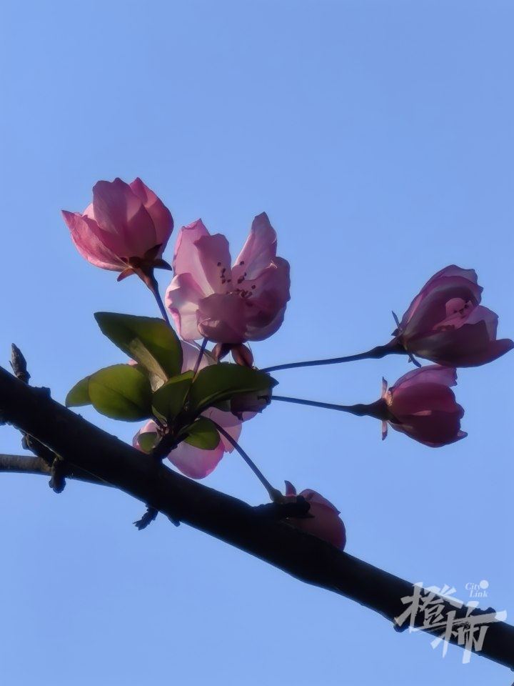 IMG_7160 2.JPG