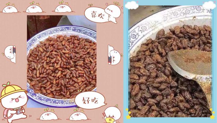 圆圆.jpg