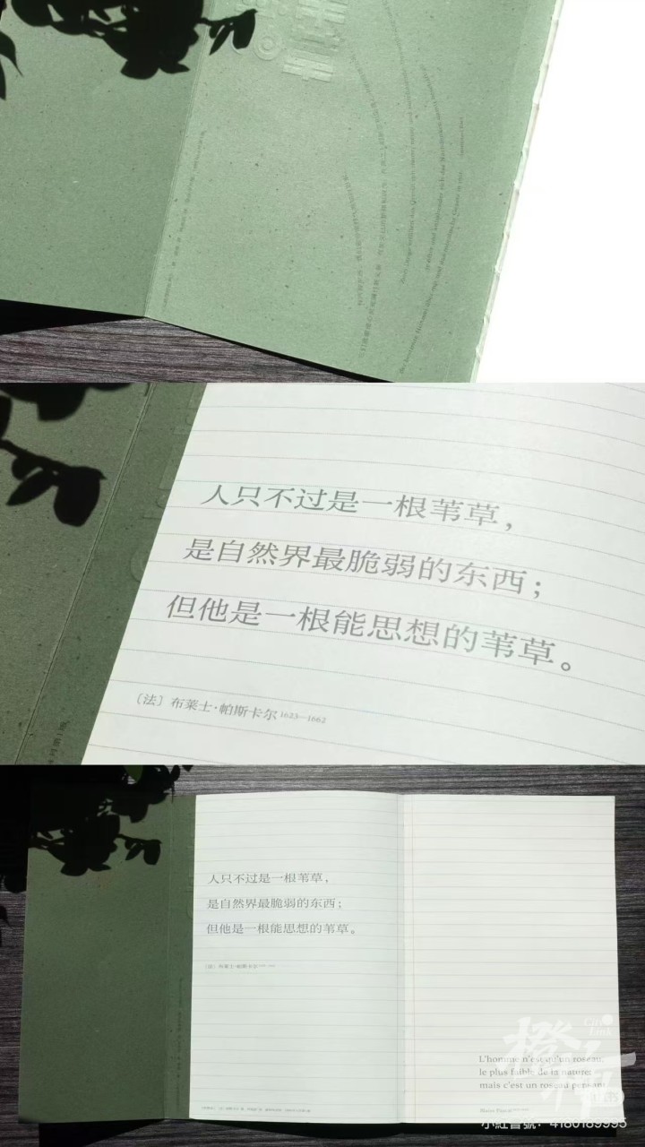 微信图片_20241221134440.jpg