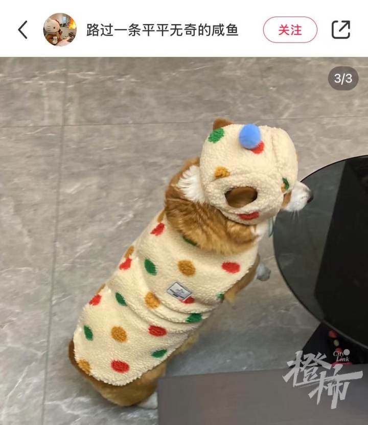 WechatIMG237.jpg