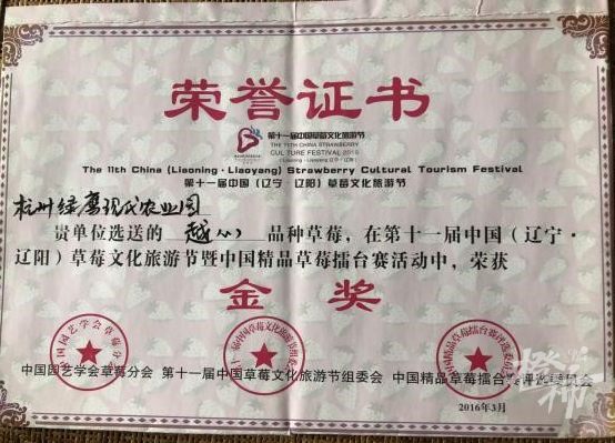 2016年金奖.jpg