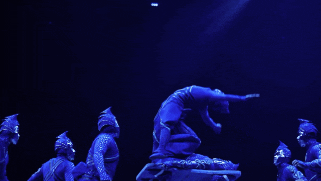 上天入地的影子武士团.gif