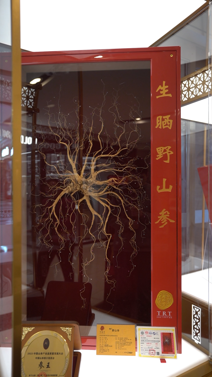 微信图片_20241207142815.png