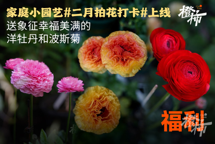 381aed0eb50a1ef49ee9430cdb5025d.jpg