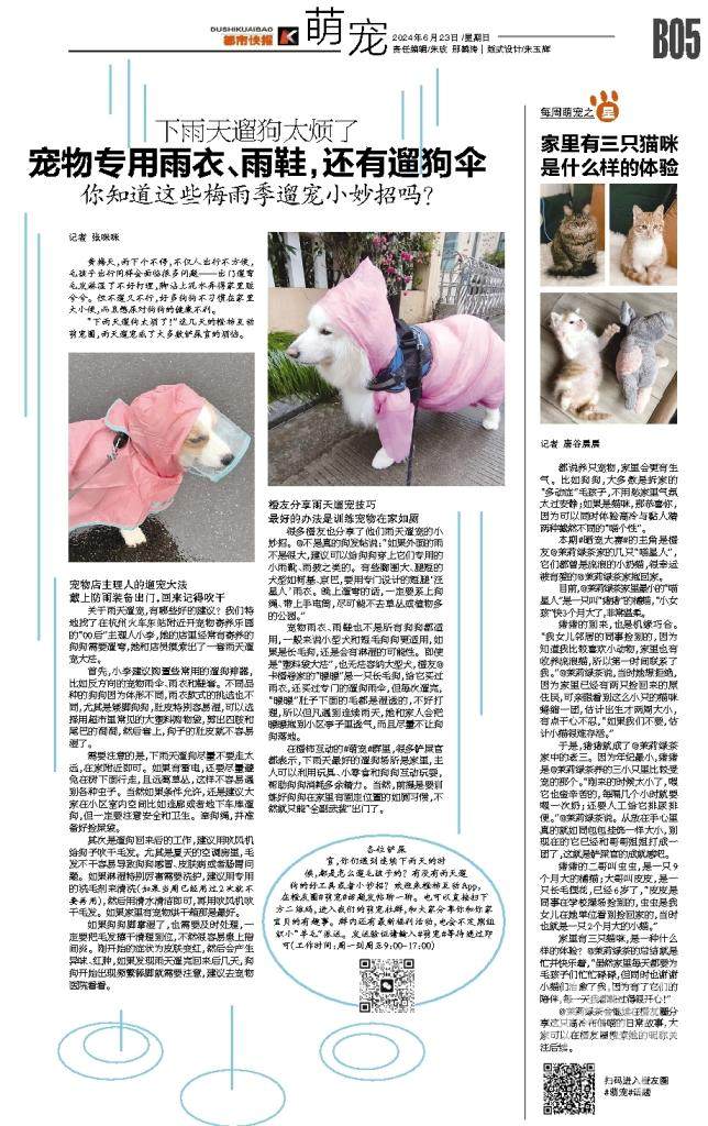 萌宠版面2.jpg