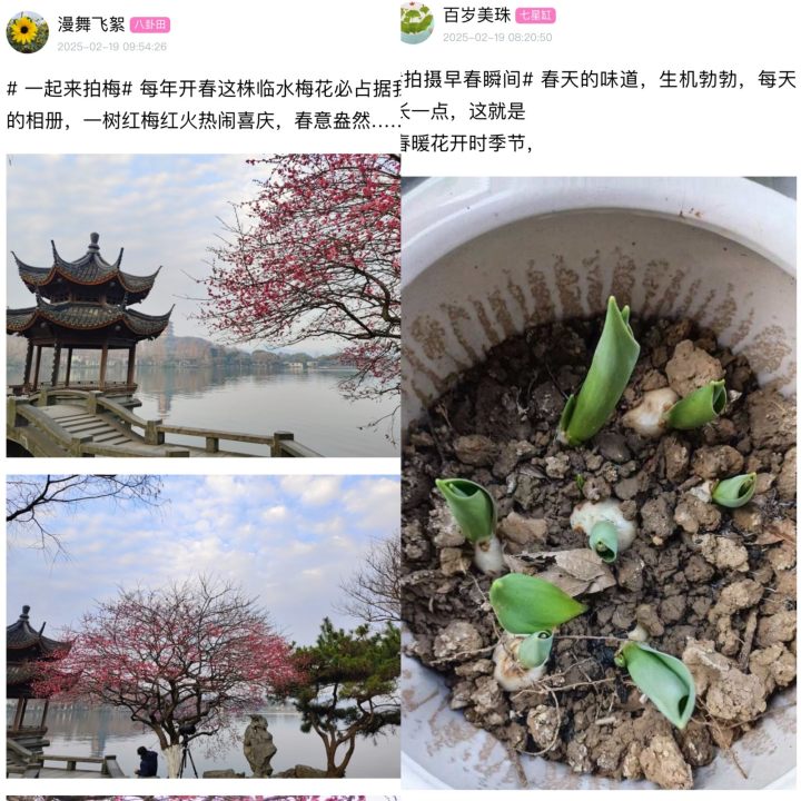 微信图片_20250219101025.jpg