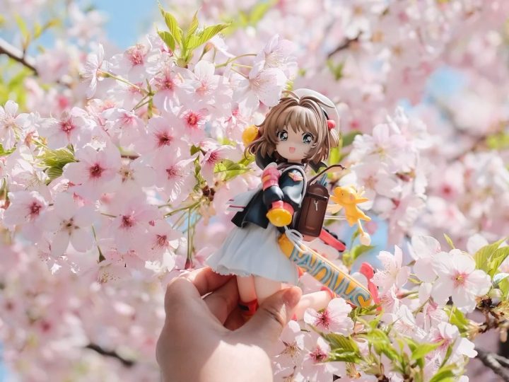 看！是我们小樱呀！🌸🌸🌸_2_日向夏蜜柑_来自小红书网页版.jpg