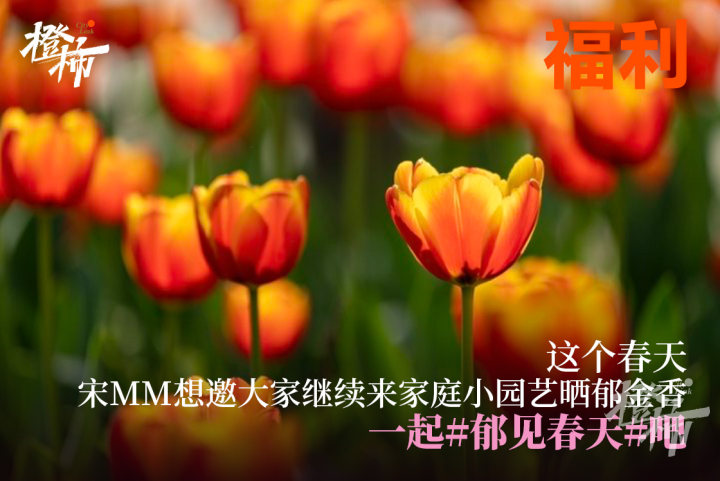 945e11bace2ae489776974fe738bcec.jpg