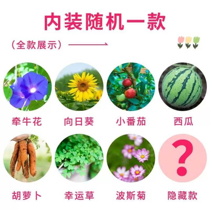 微信图片_20250328131321.jpg