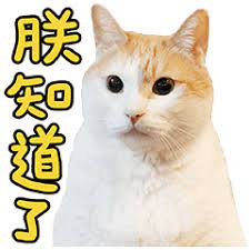 images.jpeg