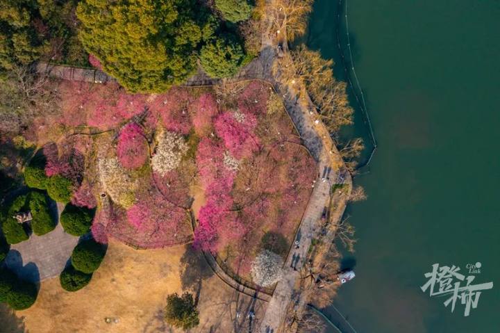 阿岳 (6)_副本.jpg
