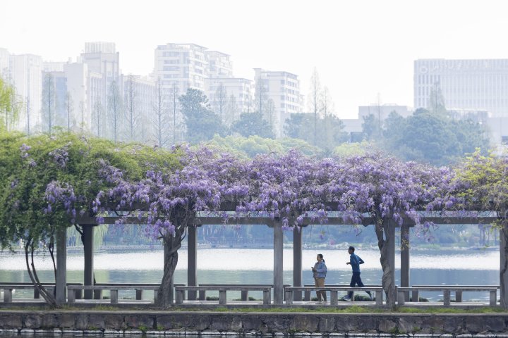 6b12a530-0f5b-11f0-da57-d0bf4bef40b9.jpg