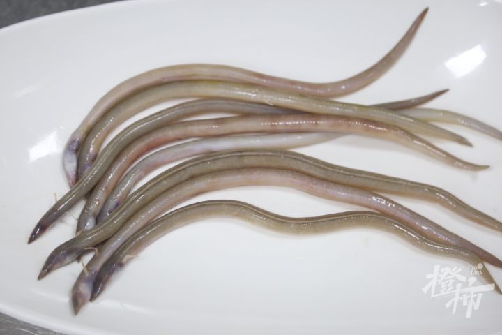 油筷鱼也是才认识的,它的学名是蚓鳗,是不是叫了这个名字就形象多了?