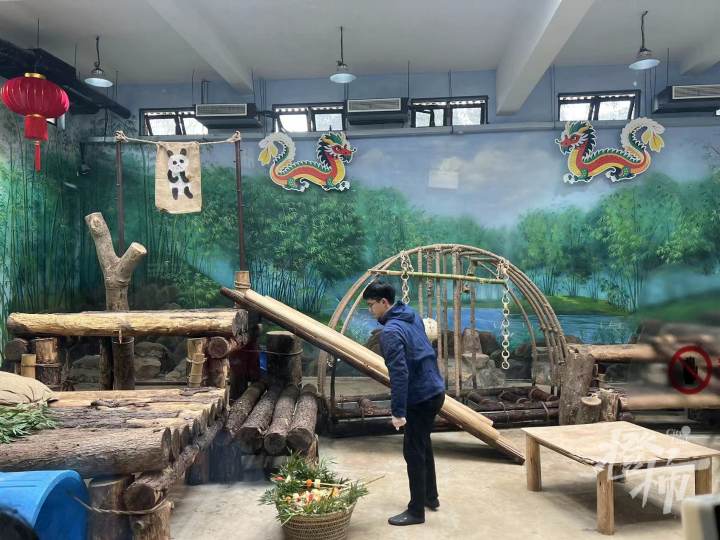 看灯笼、拆红包、吃串串……杭州动物园的动物们热热闹闹过大年