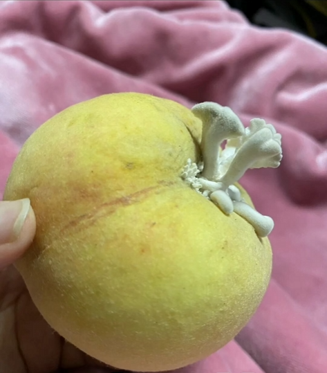 微信图片_20240710174100.png