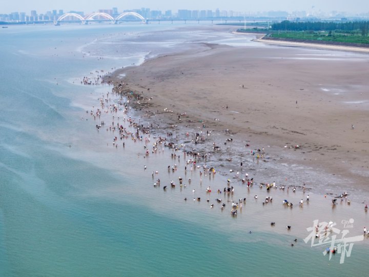 钱塘江边DJI_20240715142905_0023_D.jpg