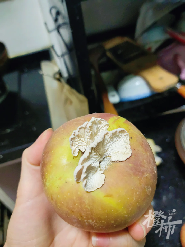 微信图片_20240710113659.png