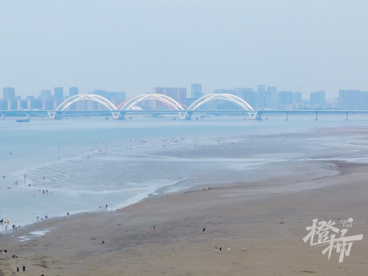 钱塘江边DJI_20240715142820_0021_D.jpg
