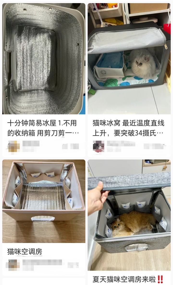 dcb9f5a7b5a66c8ebb6078084be8590.jpg