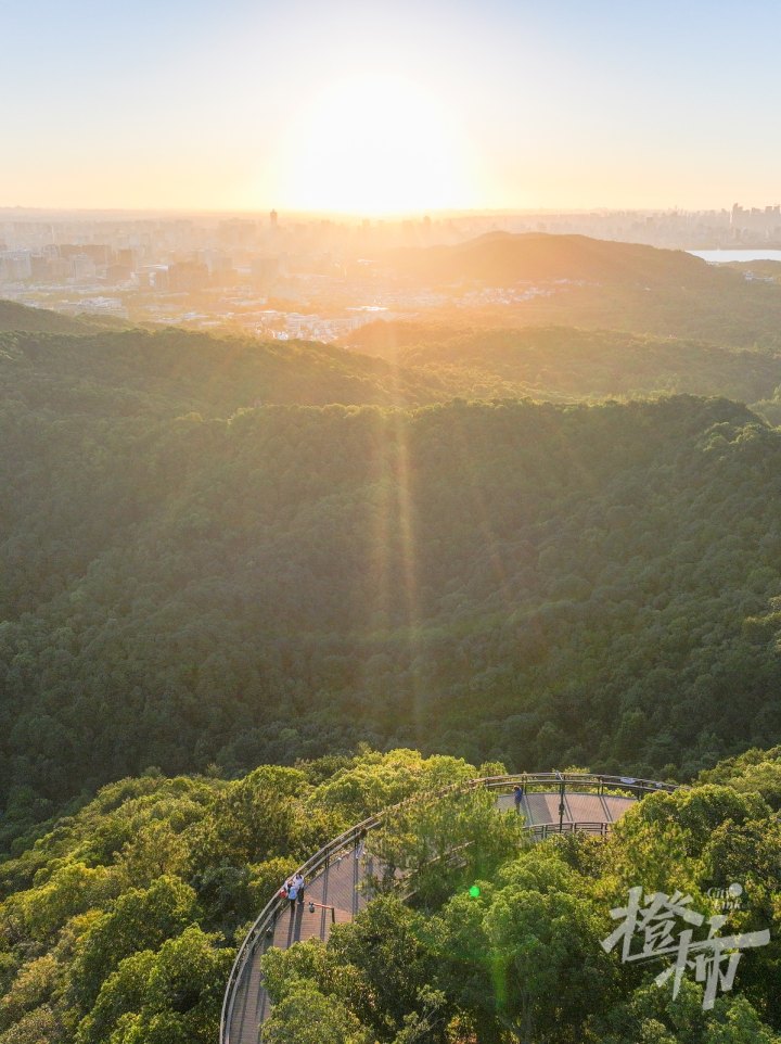 马家坞DJI_20240729053424_0094_D_1.jpg