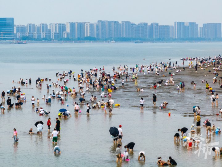 钱塘江边DJI_20240715142555_0009_D.jpg