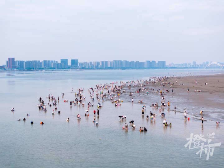 钱塘江边DJI_20240715142524_0005_D.jpg