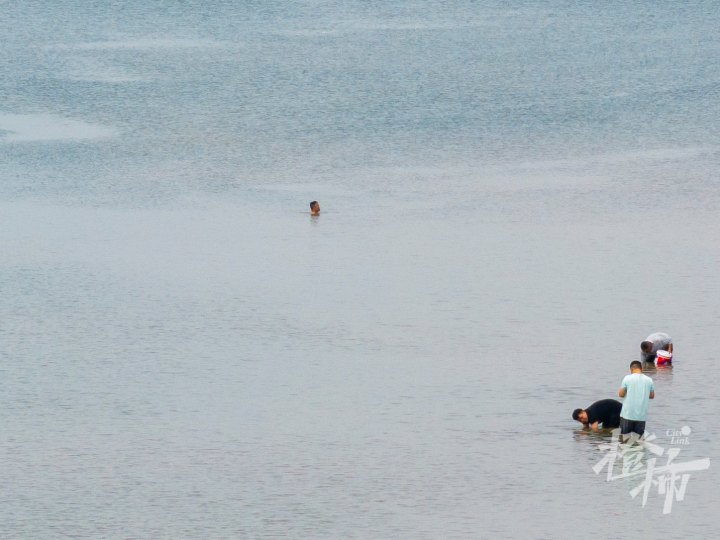 钱塘江边DJI_20240715142756_0017_D.jpg