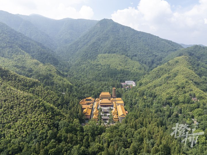 禅源寺DJI_20240814144420_0033_D.jpg