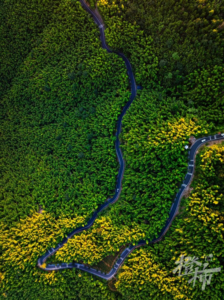 寺坞岭DJI_20240724052410_0286_D.jpg