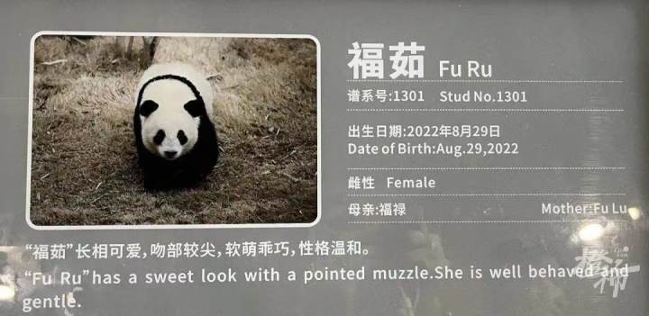 微信图片_20240817124530.jpg