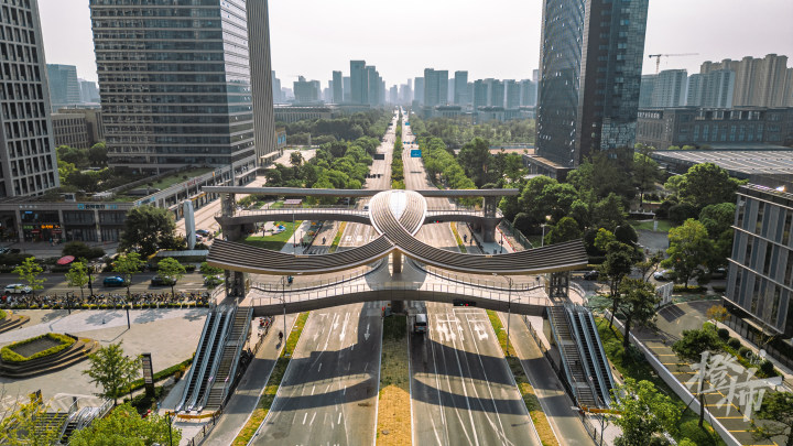 DJI_0980.jpg