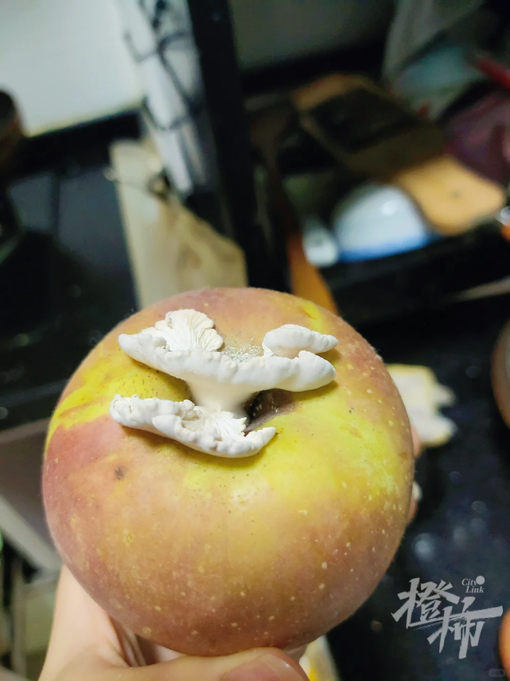 微信图片_20240710113651.png