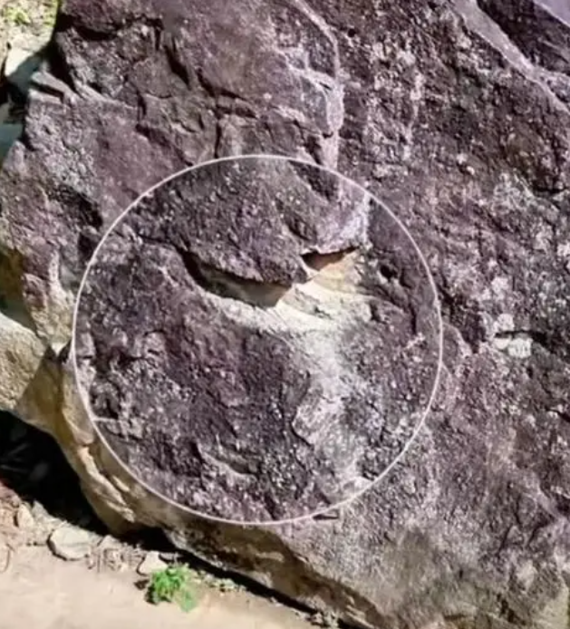 微信图片_20240804185015.png